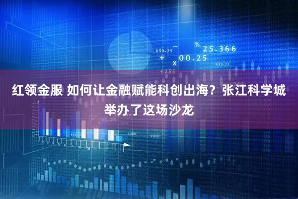 红领金服 如何让金融赋能科创出海？张江科学城举办了这场沙龙