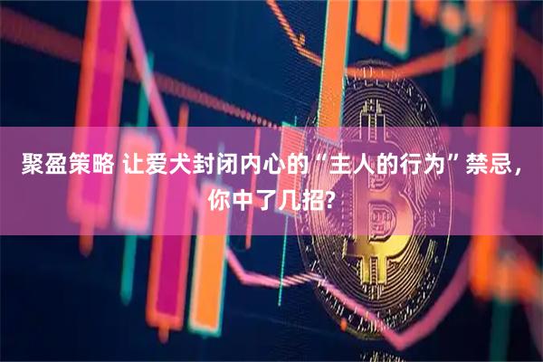 聚盈策略 让爱犬封闭内心的“主人的行为”禁忌，你中了几招?