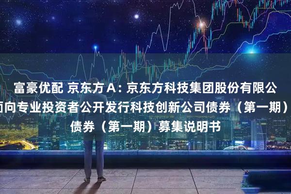 富豪优配 京东方Ａ: 京东方科技集团股份有限公司2025年面向专业投资者公开发行科技创新公司债券（第一期）募集说明书