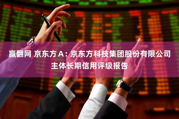 赢翻网 京东方Ａ: 京东方科技集团股份有限公司主体长期信用评级报告