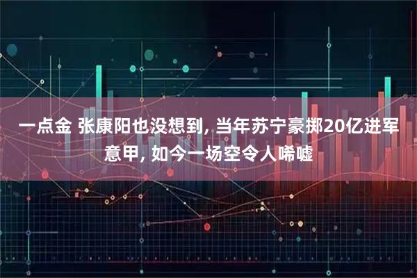 一点金 张康阳也没想到, 当年苏宁豪掷20亿进军意甲, 如今一场空令人唏嘘